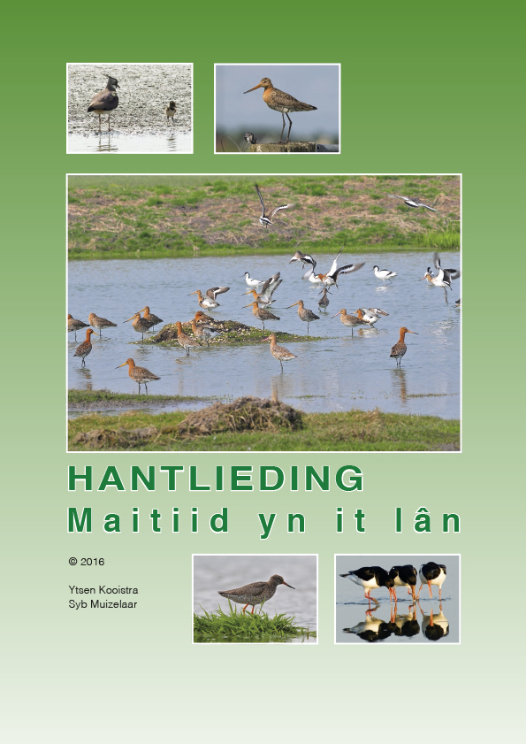 hantlieding maitiid yn it lan frysk 1